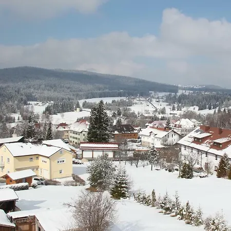 13 Im Haus Dreisessel Apartamento *